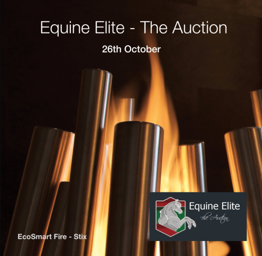equine-elite-1571829415.png